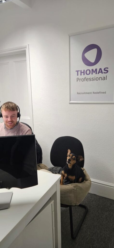 Person in office with dog working